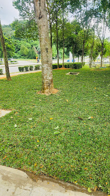 Tip pilih rumput hiasan halaman rumah