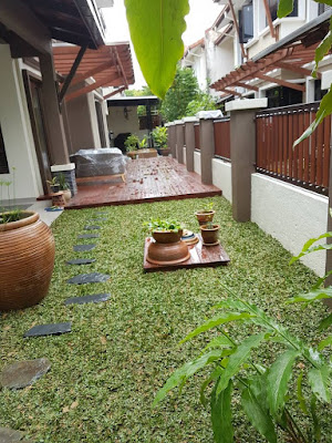 Landskap menggunakan rumput mutiara