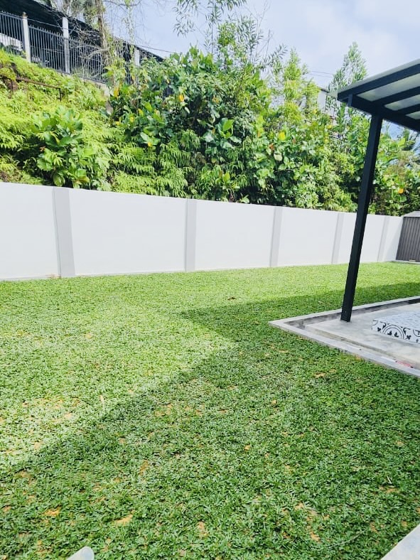 Rumput Terbaik untuk Halaman Rumah