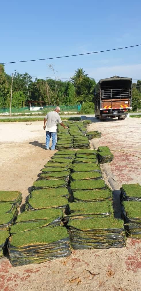 Pembekal Rumput Karpet Malaysia