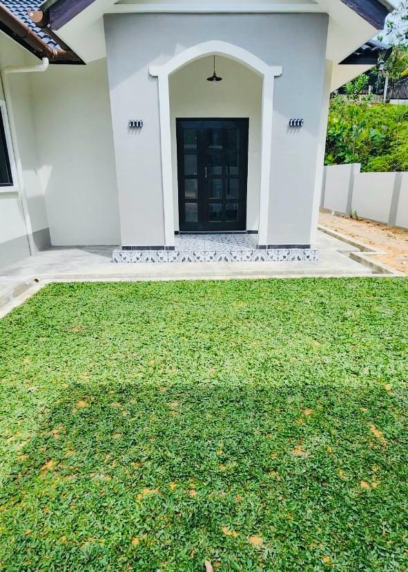 Pembekal Rumput Hidup Malaysia