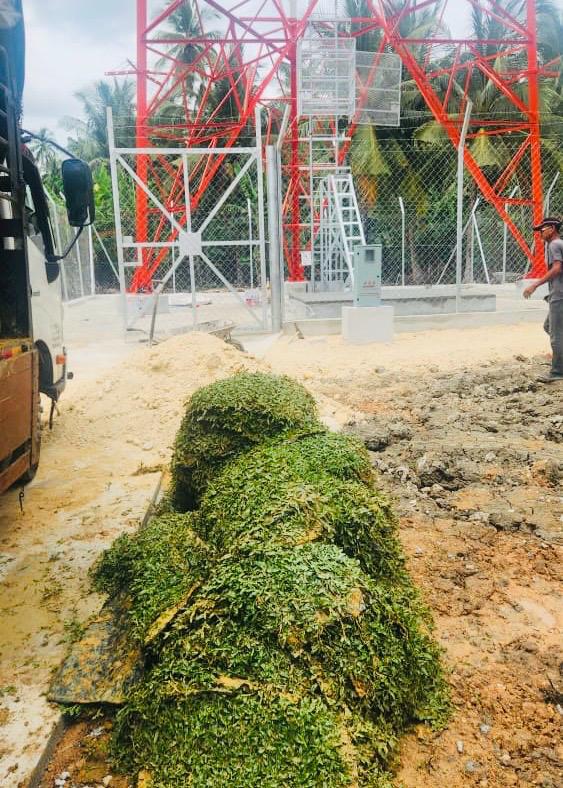 pembekal rumput-projek pasang tower